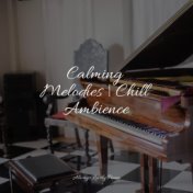 Calming Melodies | Chill Ambience