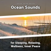 z Z z Ocean Sounds for Sleeping, Relaxing, Wellness, Inner Peace