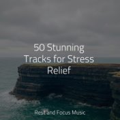 50 Stunning Tracks for Stress Relief
