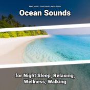 Ocean Sounds for Night Sleep, Relaxing, Wellness, Walking