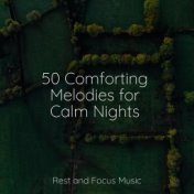 50 Comforting Melodies for Calm Nights