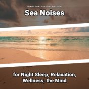 Sea Noises for Night Sleep, Relaxation, Wellness, the Mind