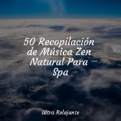 50 Recopilación de Música Zen Natural Para Spa