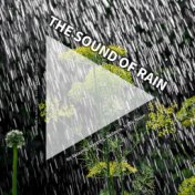 #01 The Sound of Rain for Relaxing, Napping, Wellness, Traffic Noise
