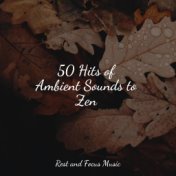 50 Hits of Ambient Sounds to Zen