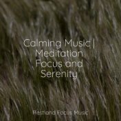 Calming Music | Meditation Focus and Serenity