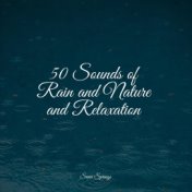 50 Sounds of Rain and Nature and Relaxation