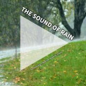 #01 The Sound of Rain for Relaxation, Bedtime, Reading, Vitality