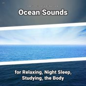 z Z Ocean Sounds for Relaxing, Night Sleep, Studying, the Body