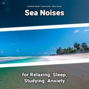 z Z Sea Noises for Relaxing, Sleep, Studying, Anxiety