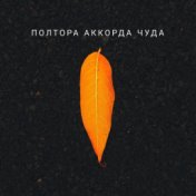 Полтора аккорда чуда