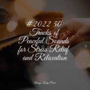 #2022 50 Tracks of Peaceful Sounds for Stress Relief and Relaxation