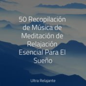50 Recopilación de Música de Meditación de Relajación Esencial Para El Sueño