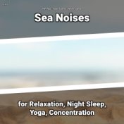 z Z z Sea Noises for Relaxation, Night Sleep, Yoga, Concentration