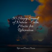 50 Sleepy Sounds of Nature - Calm Music for Relaxation