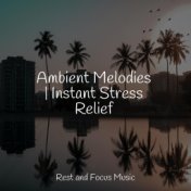 Ambient Melodies | Instant Stress Relief