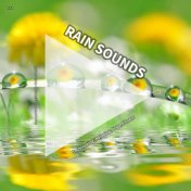 #01 Rain Sounds for Sleeping, Relaxing, Yoga, Fitness