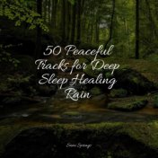 50 Peaceful Tracks for Deep Sleep Healing Rain