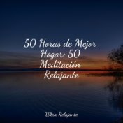 50 Horas de Mejor Hogar: 50 Meditación Relajante