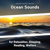 Ocean Sounds for Relaxation, Sleeping, Reading, Welfare