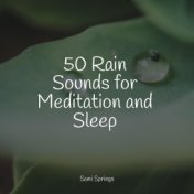 50 Rain Sounds for Meditation and Sleep