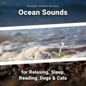 z Z z Ocean Sounds for Relaxing, Sleep, Reading, Dogs & Cats