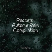 Peaceful Autumn Rain Compilation