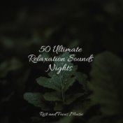 50 Ultimate Relaxation Sounds Nights