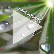 #01 Rain Sounds for Relaxation, Sleep, Reading, to Release Emotions