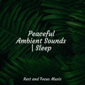 Peaceful Ambient Sounds | Sleep