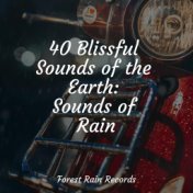 40 Blissful Sounds of the Earth: Sounds of Rain