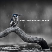 Birds And Rain In The Fall