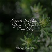 Sounds of Nature | Yoga | Perfect | Deep Sleep