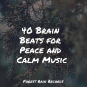 40 Brain Beats for Peace and Calm Music