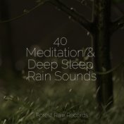 40 Meditation & Deep Sleep Rain Sounds