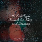 40 Soft Rain Sounds for Sleep and Serenity