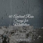 40 Ambient Rain Songs for Meditation