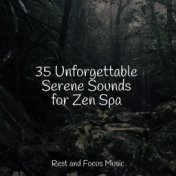 35 Unforgettable Serene Sounds for Zen Spa