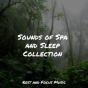 Sounds of Spa and Sleep Collection