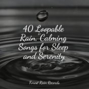 40 Loopable Rain, Calming Songs for Sleep and Serenity