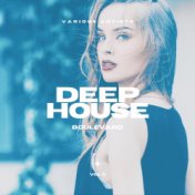 Deep-House Boulevard, Vol. 3