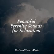 Beautiful Serenity Sounds for Relaxation