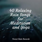 40 Relaxing Rain Songs for Meditation and Yoga