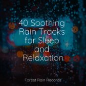 40 Soothing Rain Tracks for Sleep and Relaxation