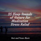 35 Sleep Sounds of Nature for Meditation Stress Relief