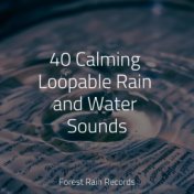 40 Calming Loopable Rain and Water Sounds