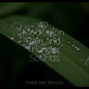 40 Meditation Rain and Thunder Sounds