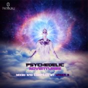 Psychedelic Adventures - Mixed & Compiled by Under 8