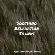 Soothing Relaxation Sounds