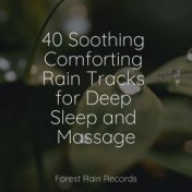 40 Soothing Comforting Rain Tracks for Deep Sleep and Massage